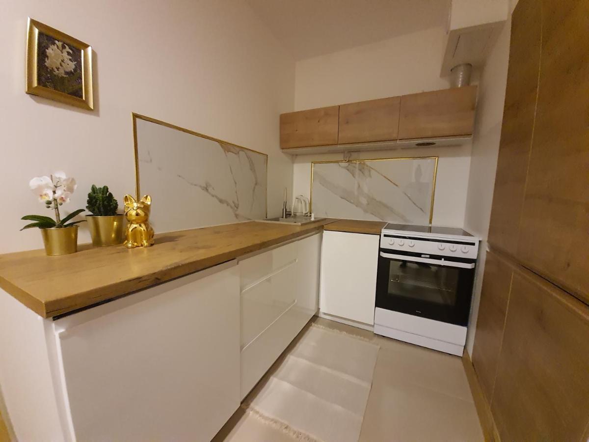 Апартаменты Apartament Krakowska Prestige Вроцлав Экстерьер фото